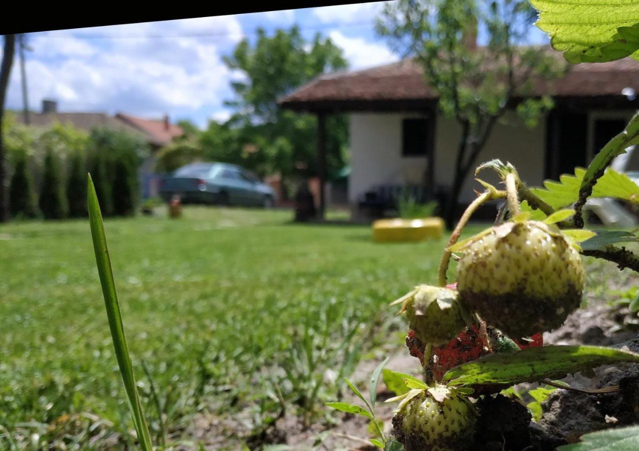 Stara Kovacnica Villa Golubac Bagian luar foto