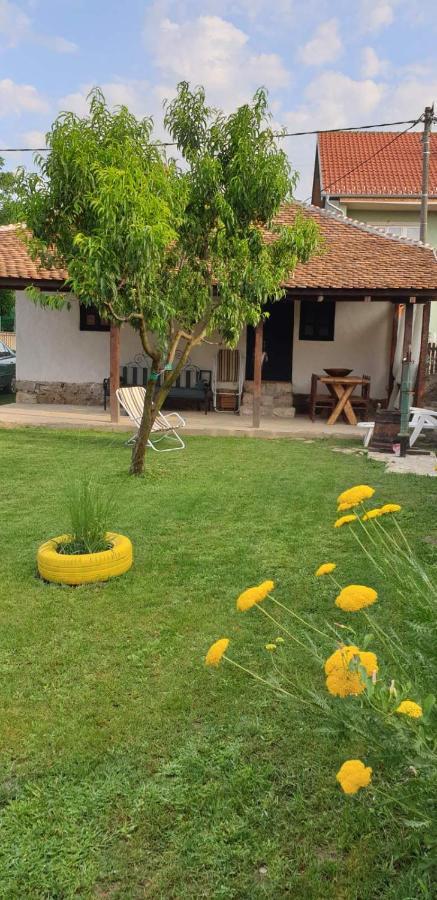 Stara Kovacnica Villa Golubac Bagian luar foto